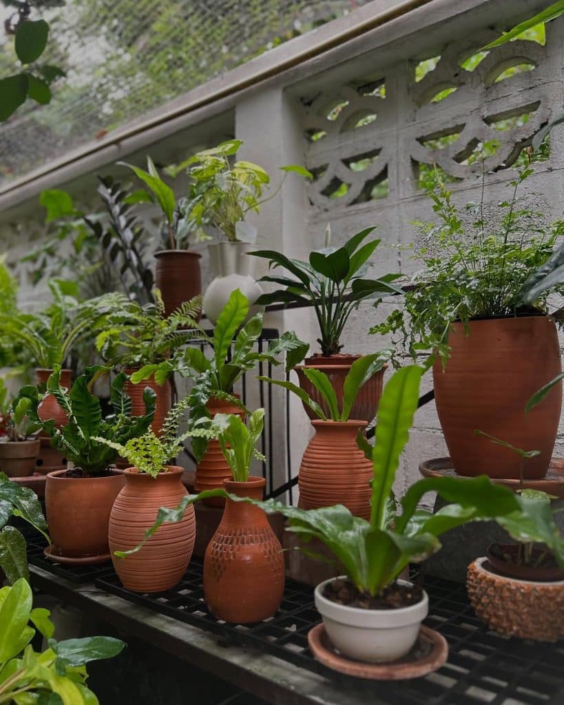 1 Terracotta Pot Wonderland