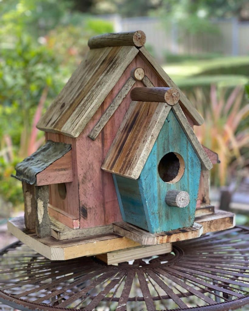 magnolia birdhouses 1638009324 2716141537311656415 38314644208