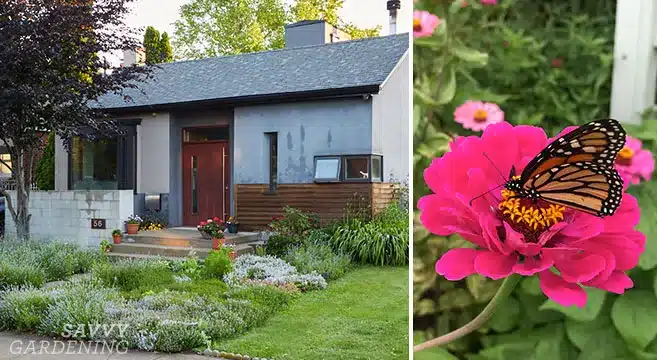 pollinator garden design feature