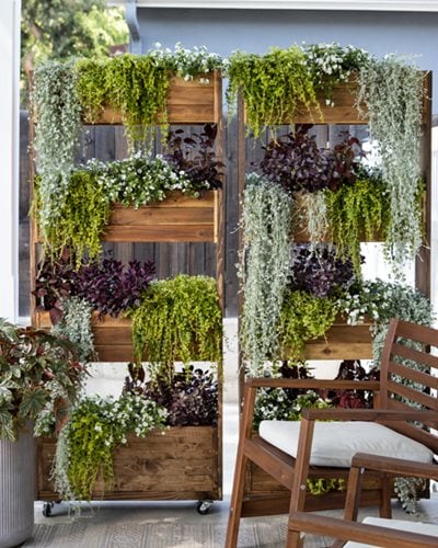 privacy planter vertical planting proven winners 17032